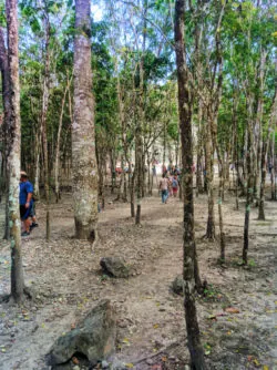 Hiking to the great pyramid at the Coba Mayan Ruins Yucatan 1