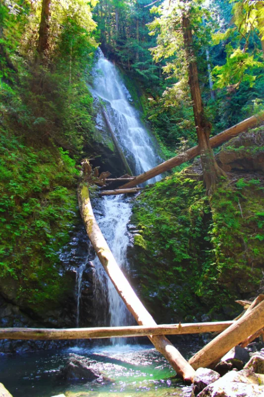 Murhut Falls Olympic National Forest 2