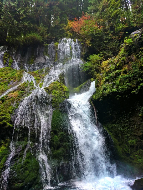 Panther Creek Falls Columbia Gorge 6