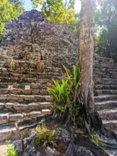 Pyramid steps at the Coba Mayan Ruins Yucatan 1