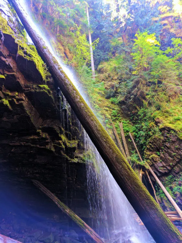 Splash pool at Murhut Falls Olympic National Forest 7