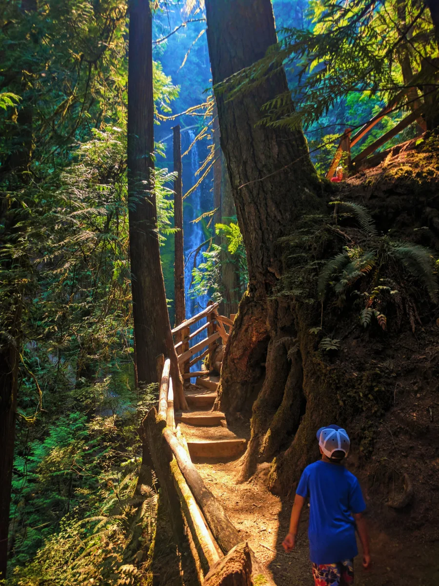 Taylor Family Marymere Falls hiking in Olympic National Park 3