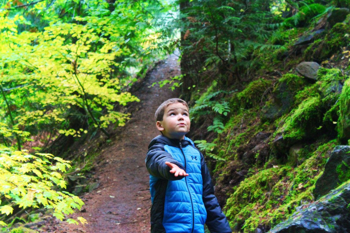 Taylor Family hiking at Panther Creek Falls Columbia Gorge 2