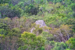 View from the top of Nohoch Mul the great pyramid at Coba Mayan Ruins Yucatan 3