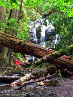 Wandering Daughter TB Waterfalls on Cascase Falls trail Moran State Park San Juans 1