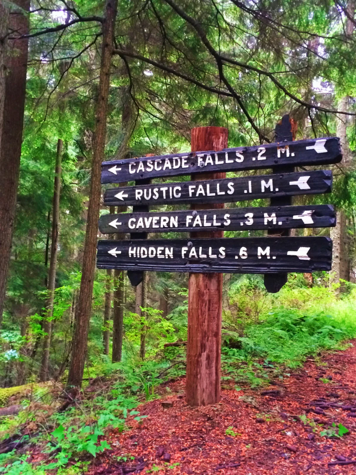 Wandering Daughter TB Waterfalls on Cascase Falls trail Moran State Park San Juans 3