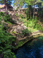 Cenote-Zaci-in-Valladolid-Yucatan-3-169x225.jpg