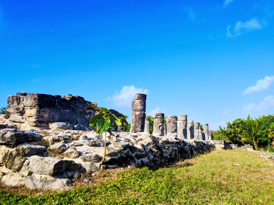 El Rey Mayan Ruins Archaeological Site Cancun Yucatan 1