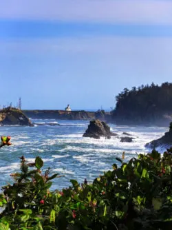 Cape Arago Lighthouse from Viewpoint Sunset Bay State Park Coos Bay Oregon Coast 1