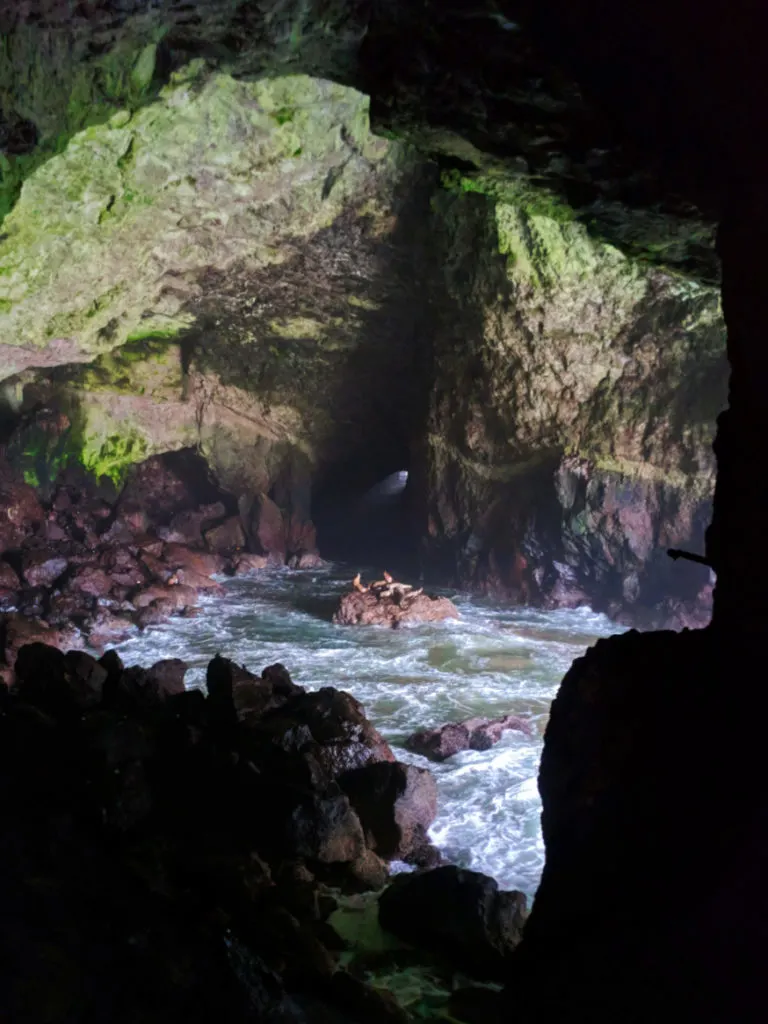 Cavern at Sea Lion Caves Florence Oregon Coast 2