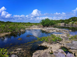 Cenote Yal Ku in Akumal Yucatan Road Trip 1