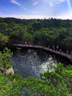 Cenote at Yum Balam Preserve Isla Holbox Yucatan 1