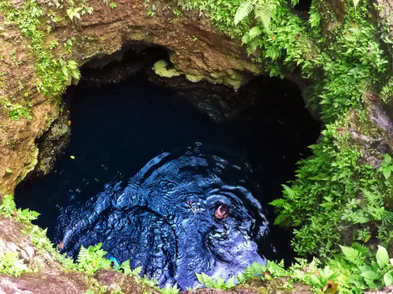 Large pool Cenotes Siete Bocas Yucatan Road Trip