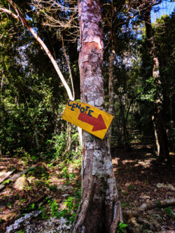 Cenote sign at Cenotes Sieta Bocas Yucatan Road Trip 1