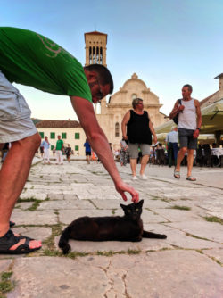 Chris Taylor petting cat by Belltower and cobblestone in Hvar Croatia 1
