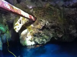 Inside Cenotes Siete Bocas Yucatan Peninsula