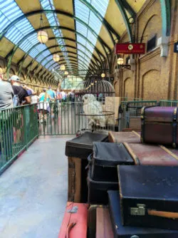 Platform 9 3 Quarters Kings Cross Universal Studios Florida Orlando 1