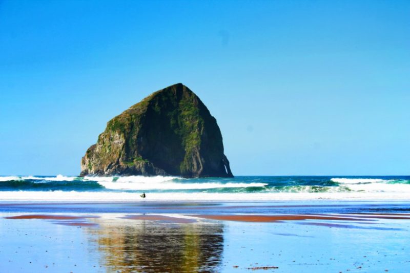 Surfers in Pacific City Oregon Coast 6