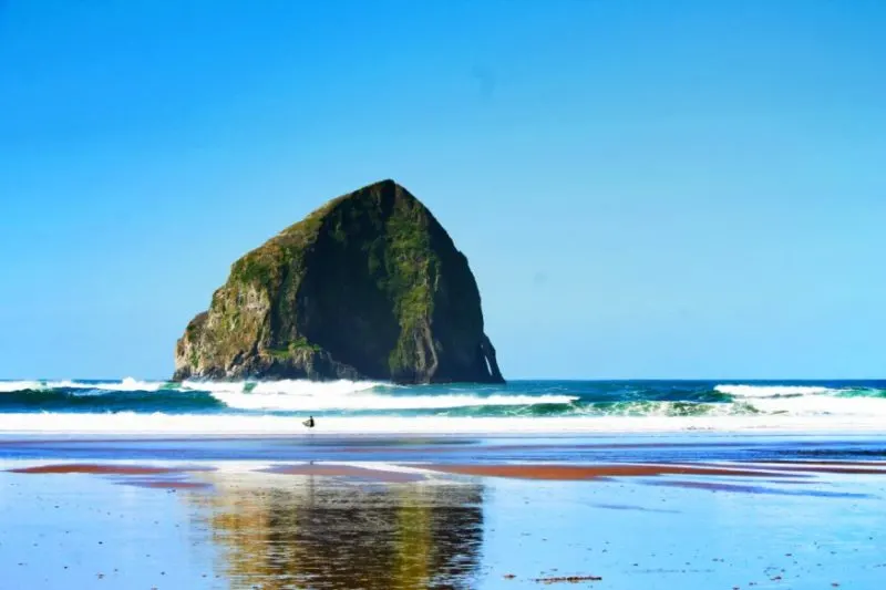 Surfers in Pacific City Oregon Coast 6