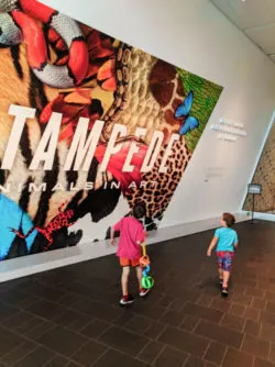 Taylor Family at Denver Art Museum 3