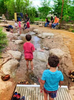 Taylor Family at Denver Children's Botanic Gardens Denver Colorado 6