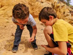 Taylor Family looking for fossils at Dinosaur Ridge Morrison Denver Colorado 3