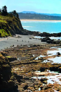 Tide Pools at Yaquina Head Lighthouse cove Newport Oregon Coast 1