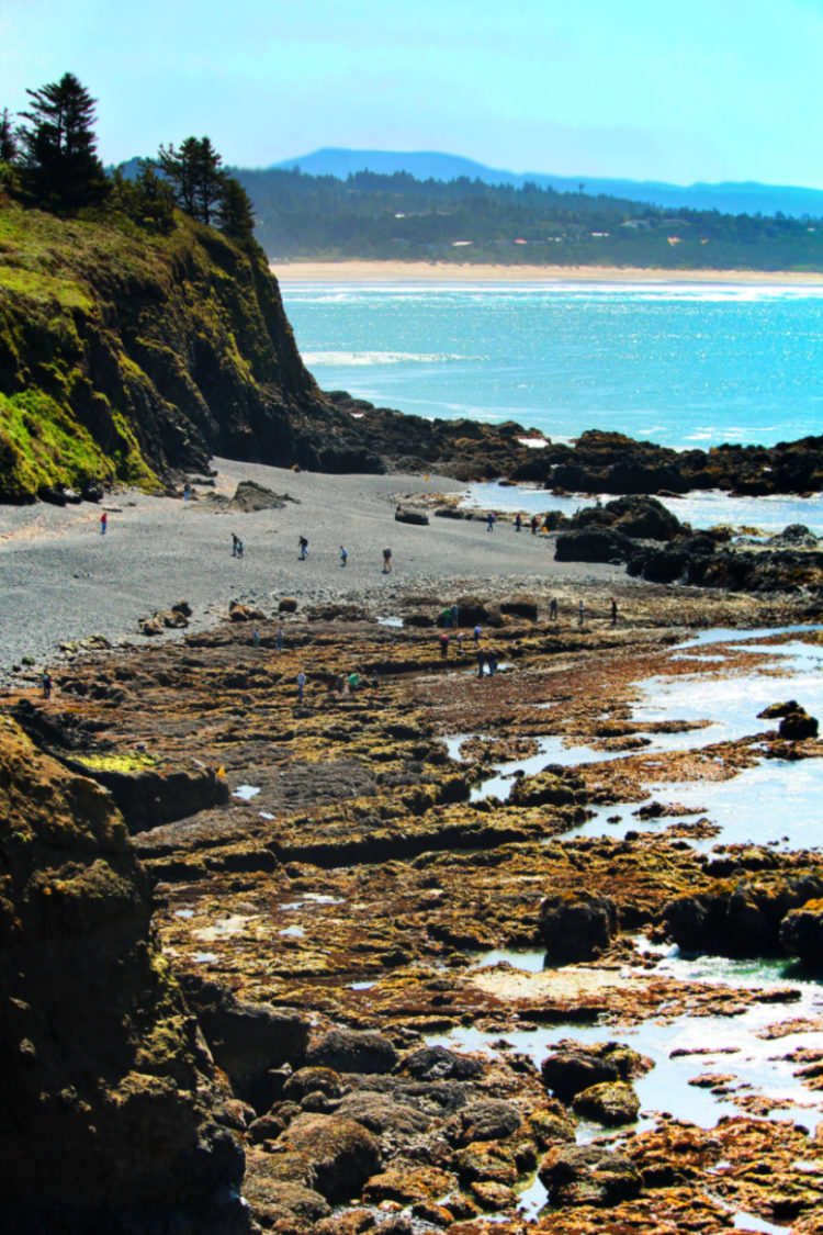 Tide Pools at Yaquina Head Lighthouse cove Newport Oregon Coast 1 - 2 ...