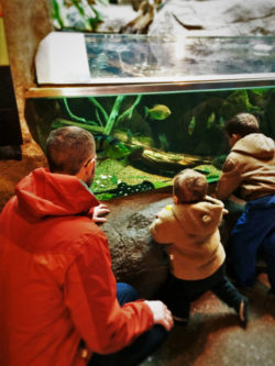 Chris Taylor and Dudes at Aquarium at Denver Zoo 1