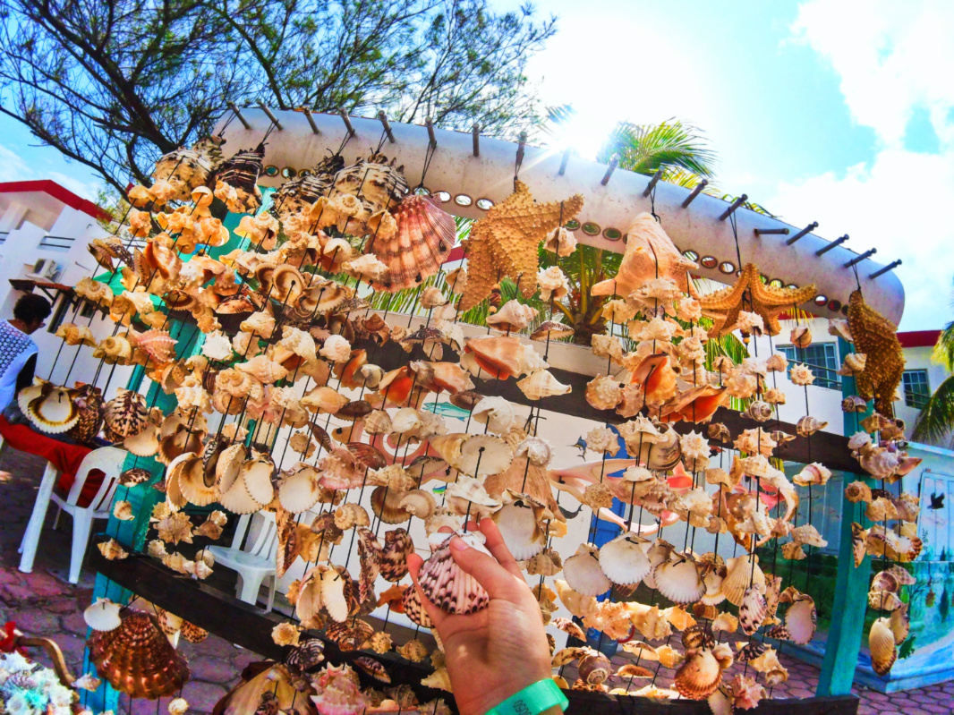 Sea Shell Stand in Isla Mujeres Mexico