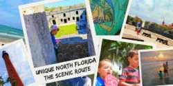 Unique Florida is so each to discover and experience along the Scenic Route. Top tips for having an epic Florida adventure through history, nature and culture. 2traveldads.com