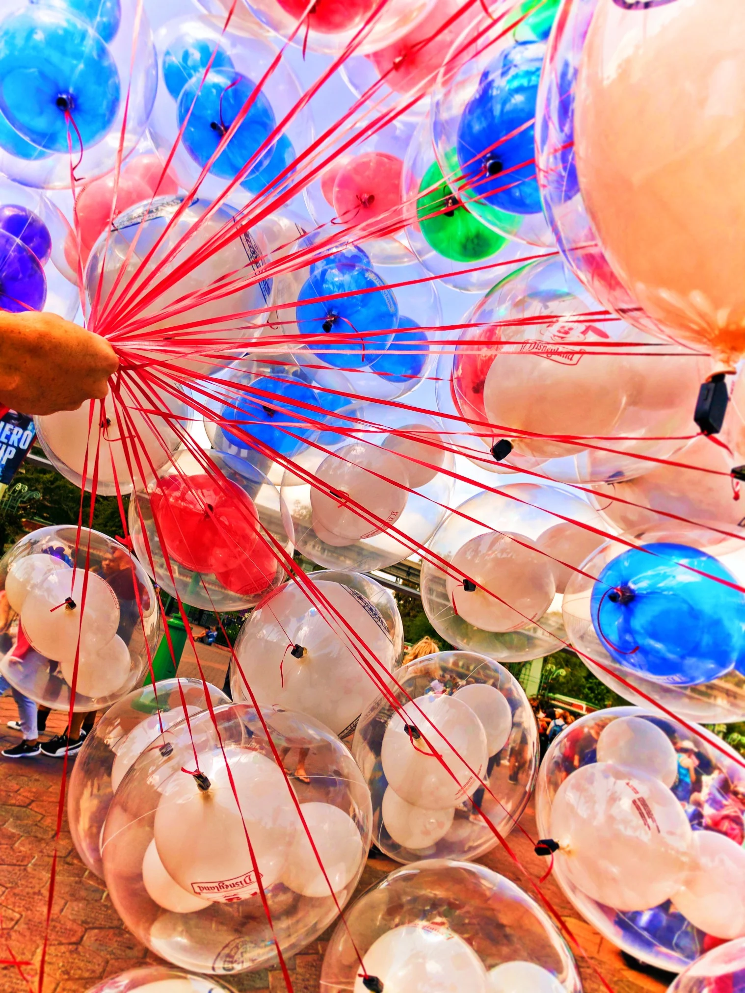 Colorful balloons at Disneyland 1