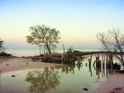 Reflections in stream at beach on Isla Holbox Quintana Roo Mexico 1