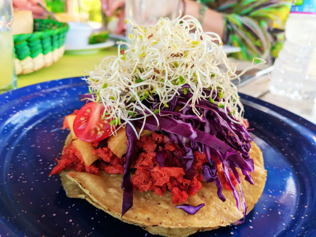 Seafood tostada at Villas Flamingos Isla Holbox Yucatan 1