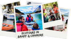 Ecotours in Banff National Park and the nearby town of Canmore give the best views and activities in Banff National Park. Guiding hiking, rafting and rock climbing provide unforgettable outdoor experiences in Alberta, Canada. 2traveldads.com
