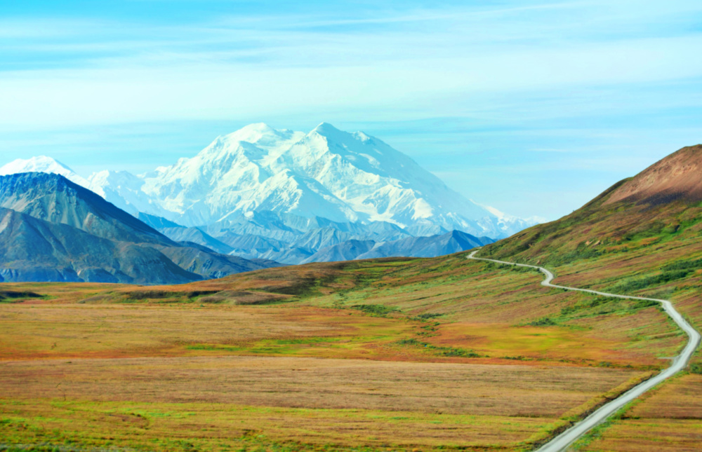 Fall Color on road to Wonder Lake in tundra Denali National Park 1