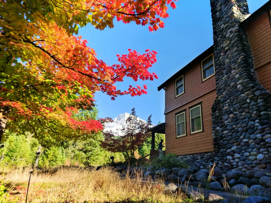 Fall Colors National Park Inn Longmire Mount Rainier National Park 4