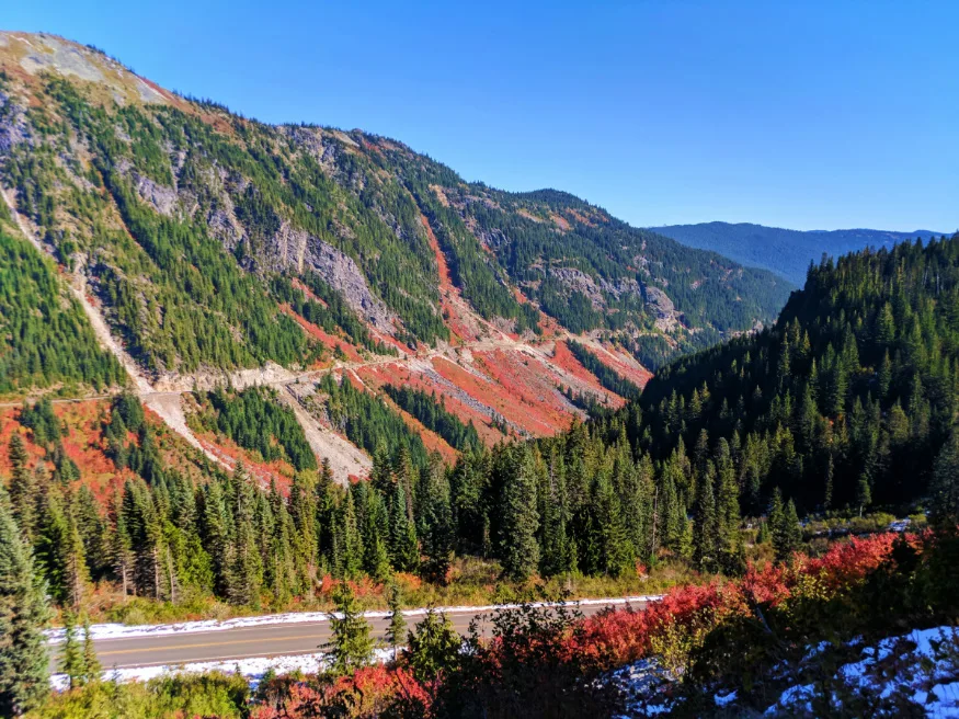 Fall Colors Stevens Canyon Mount Rainier National Park 4