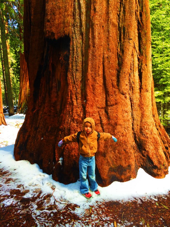 Taylor Family with Giant Sequoia Sequoia National Park 2