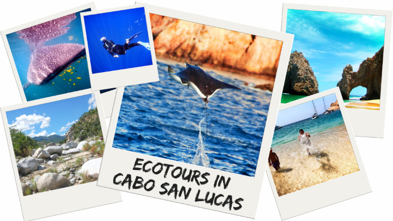 Ecotours-in-Cabo-San-Lucas-twitter.jpg
