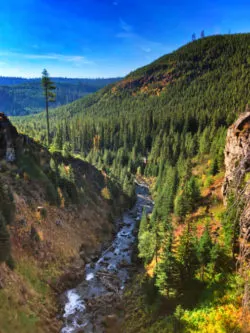 Fall Colors at Tumalo Creek Deschutes National Forest Bend Oregon 2