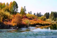 Fall-Colors-on-Deschutes-River-at-Dillon-Falls-Deschutes-National-Forest-Bend-Oregon-8-225x150.jpg