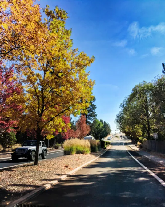 Fall colors downtown Bend Oregon 2