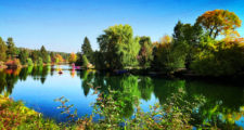 Fall-colors-on-Deschutes-River-at-Columbia-Park-Bend-Oregon-1-e1538956727948-225x120.jpg