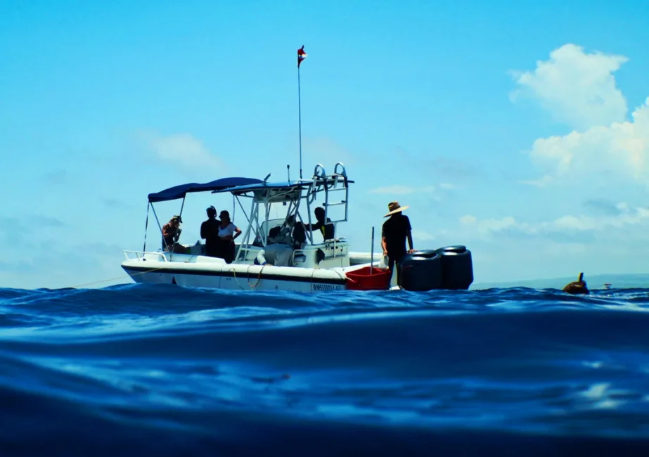 Free Diving with Pelagic Safari Cabo San Lucas Adventures in Baja 2