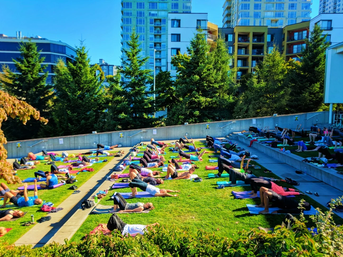 Public outdoor yoga at Olympic Sculpture Park Seattle 1