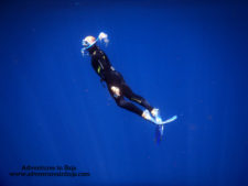 Rob-Taylor-Free-Diving-with-Pelagic-Safari-Cabo-San-Lucas-Adventures-in-Baja-4-225x169.jpg