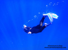 Rob Taylor Free Diving with Pelagic Safari Cabo San Lucas Adventures in Baja 5