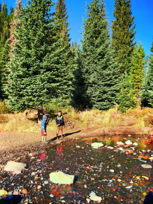 Taylor Family Fall Colors at Tumalo Creek Deschutes National Forest Bend Oregon 2