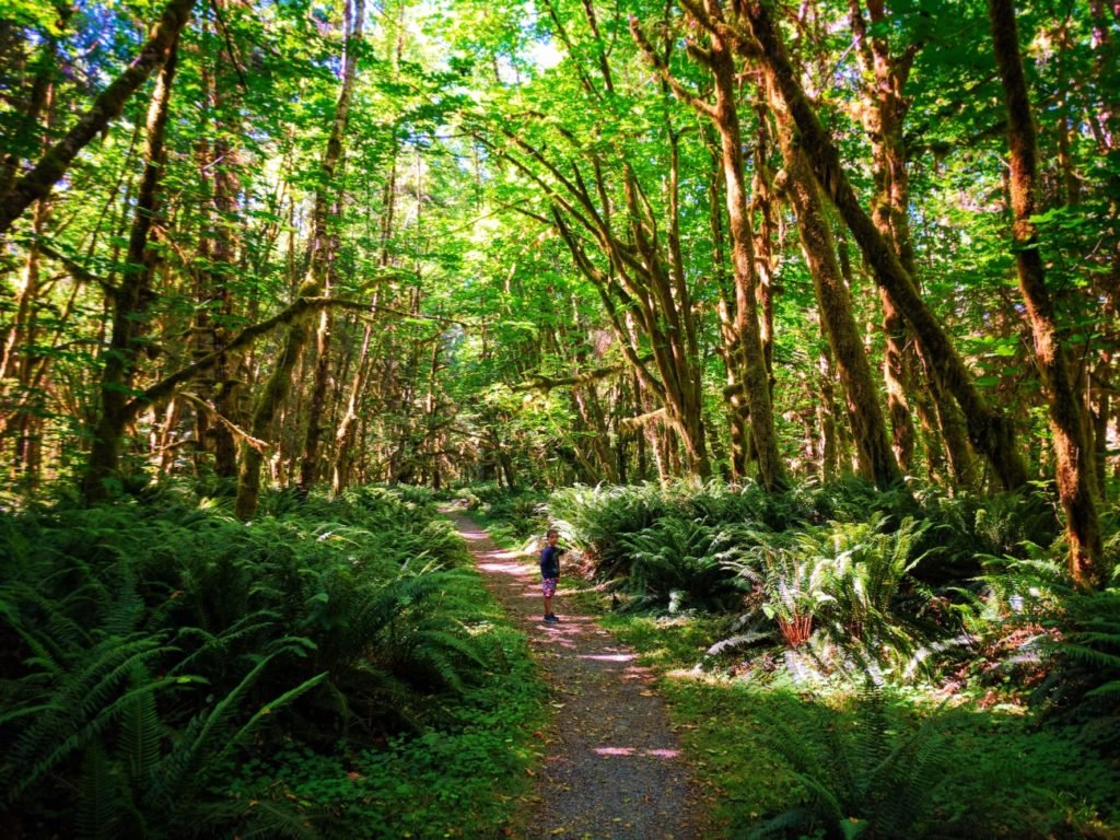 Family Guide to Olympic National Park, Washington State